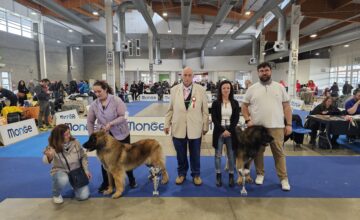 MOSTRA SPECIALE GONZAGA – 1 MARZO: I RISULTATI