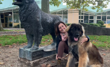 CUORE JOLIE JR, GIOVANE CAMPIONESSA A LEONBERG!