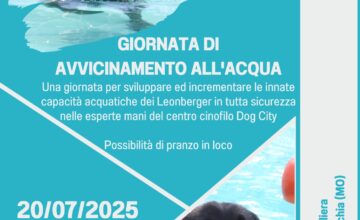 PROSSIMO EVENTO: GIORNATA IN ACQUA
