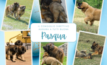 TANTI AUGURI DI BUONA PASQUA!