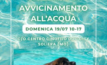 GIORNATA DI AVVICINAMENTO ALL’ACQUA