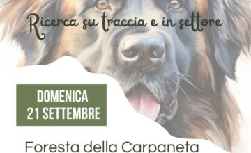 NUOVO EVENTO: GIORNATA DI RICERCA LUDICO – SPORTIVA