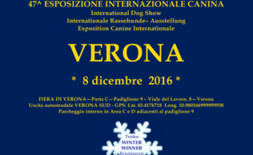 Mostra Speciale, Internazionale di Verona, 8 Dicembre 2016