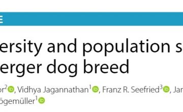 L’attuale variabilità genetica nel Leonberger