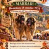 PROSSIMI EVENTI