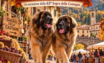 PROSSIMI EVENTI