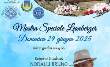 PROSSIMA MOSTRA SPECIALE