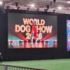 IL CIL PRESENTE AL WDS DI BOLOGNA