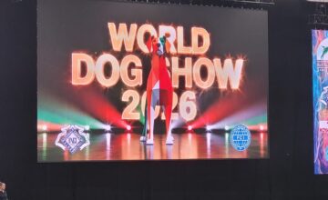 IL CIL PRESENTE AL WDS DI BOLOGNA