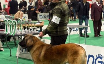 DUE NUOVE CAMPIONESSE