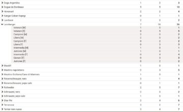 MOSTRA SPECIALE DI MESSINA e STATISTICHE MOSTRA SPECIALE DI BUSTO ARSIZIO (VA)