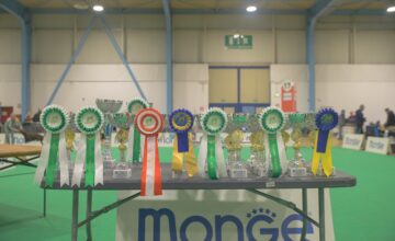 MOSTRA SPECIALE DI BUSTO ARSIZIO: I RISULTATI